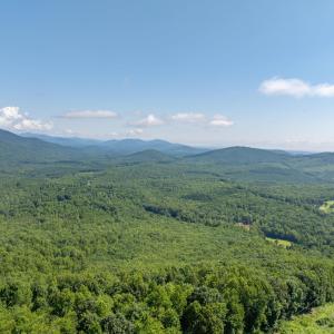 Photo #12 of 7869 LAUREL RD, SHIPMAN, VA 73.0 acres
