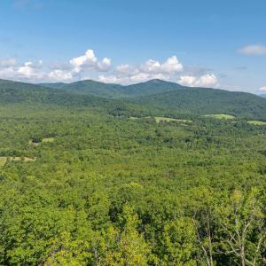 Photo #8 of 7869 LAUREL RD, SHIPMAN, VA 73.0 acres