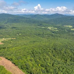 Photo #5 of 7869 LAUREL RD, SHIPMAN, VA 73.0 acres