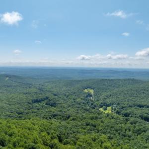 Photo #14 of 7869 LAUREL RD, SHIPMAN, VA 73.0 acres