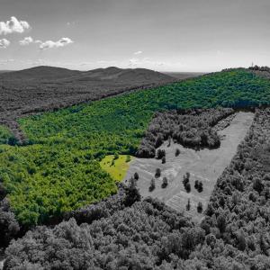 Photo #2 of 7869 LAUREL RD, SHIPMAN, VA 73.0 acres