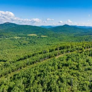 Photo #23 of 7869 LAUREL RD, SHIPMAN, VA 73.0 acres
