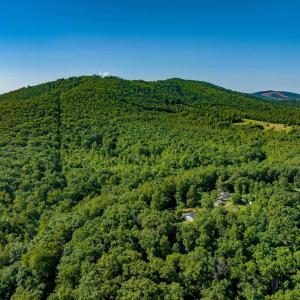 Photo #27 of 7869 LAUREL RD, SHIPMAN, VA 73.0 acres