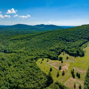 Photo #26 of 7869 LAUREL RD, SHIPMAN, VA 73.0 acres