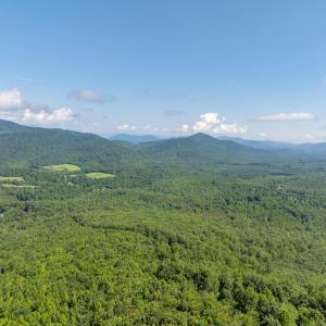 Photo #13 of 7869 LAUREL RD, SHIPMAN, VA 73.0 acres