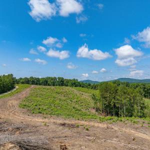 Photo #49 of HUNTING LODGE RD, SCHUYLER, VA 41.9 acres