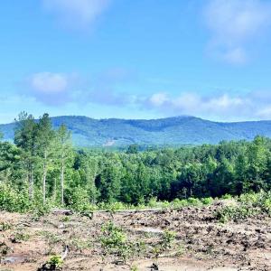 Photo #3 of HUNTING LODGE RD, SCHUYLER, VA 41.9 acres