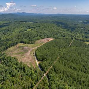 Photo #20 of HUNTING LODGE RD, SCHUYLER, VA 41.9 acres