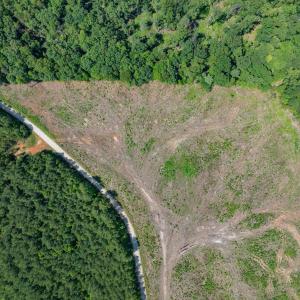 Photo #41 of HUNTING LODGE RD, SCHUYLER, VA 41.9 acres