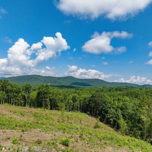 Photo #50 of HUNTING LODGE RD, SCHUYLER, VA 41.9 acres