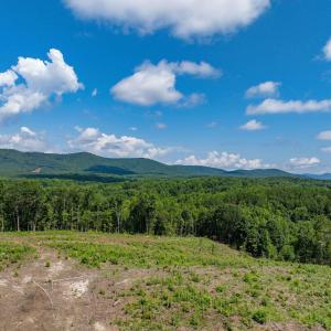 Photo #51 of HUNTING LODGE RD, SCHUYLER, VA 41.9 acres