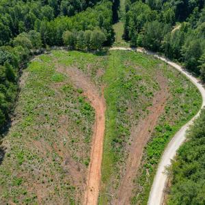 Photo #45 of HUNTING LODGE RD, SCHUYLER, VA 41.9 acres