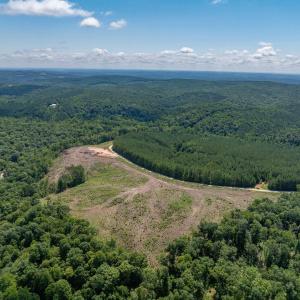 Photo #21 of HUNTING LODGE RD, SCHUYLER, VA 41.9 acres