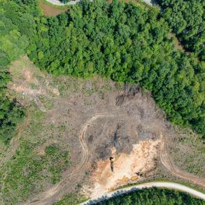 Photo #38 of HUNTING LODGE RD, SCHUYLER, VA 41.9 acres