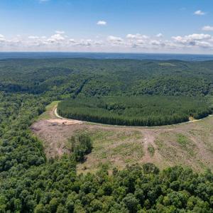 Photo #22 of HUNTING LODGE RD, SCHUYLER, VA 41.9 acres