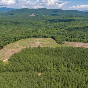 Photo #6 of HUNTING LODGE RD, SCHUYLER, VA 41.9 acres
