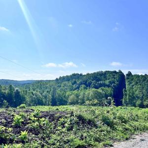 Photo #63 of HUNTING LODGE RD, SCHUYLER, VA 41.9 acres