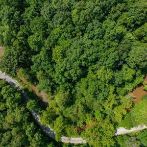Photo #56 of HUNTING LODGE RD, SCHUYLER, VA 41.9 acres