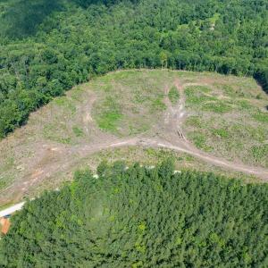 Photo #30 of HUNTING LODGE RD, SCHUYLER, VA 41.9 acres