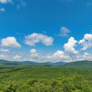 Photo #54 of HUNTING LODGE RD, SCHUYLER, VA 41.9 acres