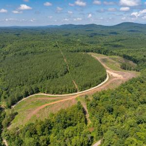 Photo #14 of HUNTING LODGE RD, SCHUYLER, VA 41.9 acres