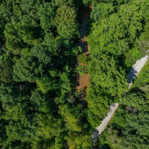 Photo #55 of HUNTING LODGE RD, SCHUYLER, VA 41.9 acres