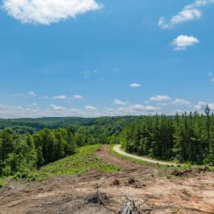 Photo #48 of HUNTING LODGE RD, SCHUYLER, VA 41.9 acres