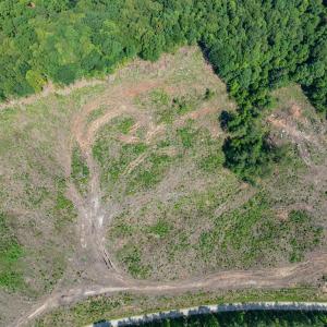 Photo #40 of HUNTING LODGE RD, SCHUYLER, VA 41.9 acres