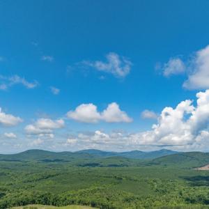 Photo #44 of HUNTING LODGE RD, SCHUYLER, VA 41.9 acres