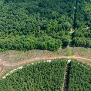 Photo #34 of HUNTING LODGE RD, SCHUYLER, VA 41.9 acres