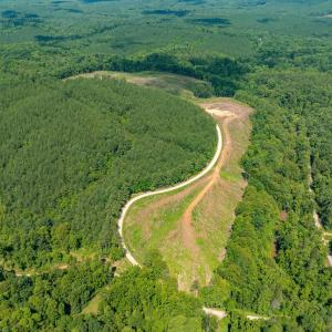 Photo #16 of HUNTING LODGE RD, SCHUYLER, VA 41.9 acres