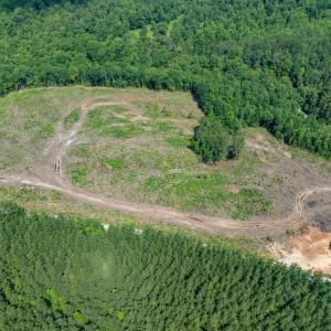 Photo #31 of HUNTING LODGE RD, SCHUYLER, VA 41.9 acres