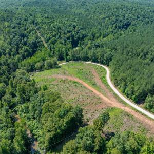 Photo #12 of HUNTING LODGE RD, SCHUYLER, VA 41.9 acres