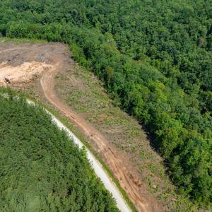 Photo #25 of HUNTING LODGE RD, SCHUYLER, VA 41.9 acres