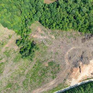 Photo #39 of HUNTING LODGE RD, SCHUYLER, VA 41.9 acres