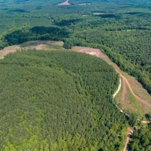 Photo #18 of HUNTING LODGE RD, SCHUYLER, VA 41.9 acres