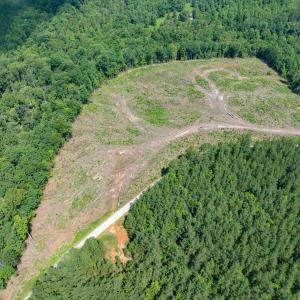 Photo #29 of HUNTING LODGE RD, SCHUYLER, VA 41.9 acres