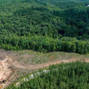 Photo #26 of HUNTING LODGE RD, SCHUYLER, VA 41.9 acres