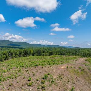 Photo #53 of HUNTING LODGE RD, SCHUYLER, VA 41.9 acres