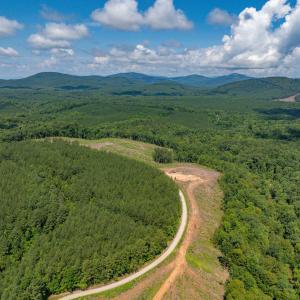 Photo #11 of HUNTING LODGE RD, SCHUYLER, VA 41.9 acres