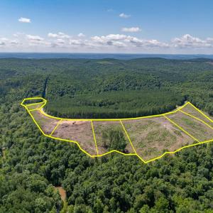 Photo #1 of HUNTING LODGE RD, SCHUYLER, VA 41.9 acres
