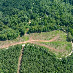 Photo #35 of HUNTING LODGE RD, SCHUYLER, VA 41.9 acres