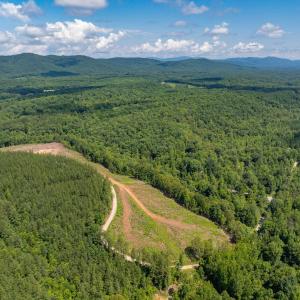 Photo #9 of HUNTING LODGE RD, SCHUYLER, VA 41.9 acres
