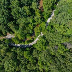 Photo #57 of HUNTING LODGE RD, SCHUYLER, VA 41.9 acres