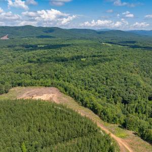Photo #8 of HUNTING LODGE RD, SCHUYLER, VA 41.9 acres
