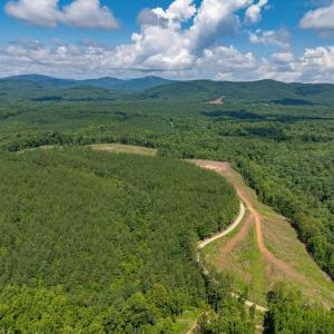 Photo #10 of HUNTING LODGE RD, SCHUYLER, VA 41.9 acres