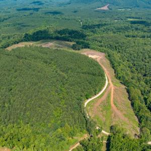 Photo #17 of HUNTING LODGE RD, SCHUYLER, VA 41.9 acres