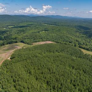 Photo #19 of HUNTING LODGE RD, SCHUYLER, VA 41.9 acres