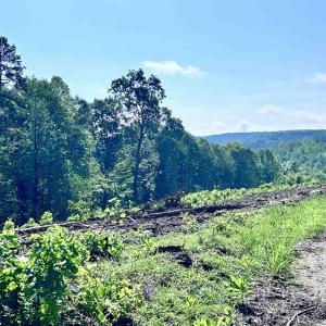 Photo #61 of HUNTING LODGE RD, SCHUYLER, VA 41.9 acres
