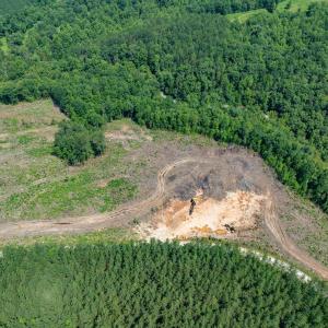 Photo #32 of HUNTING LODGE RD, SCHUYLER, VA 41.9 acres